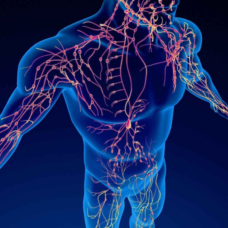 cover art for Kate Shemirani: Stagnant Bodies - Emotionally Driven, Psyops, Music & The Devil's Tools