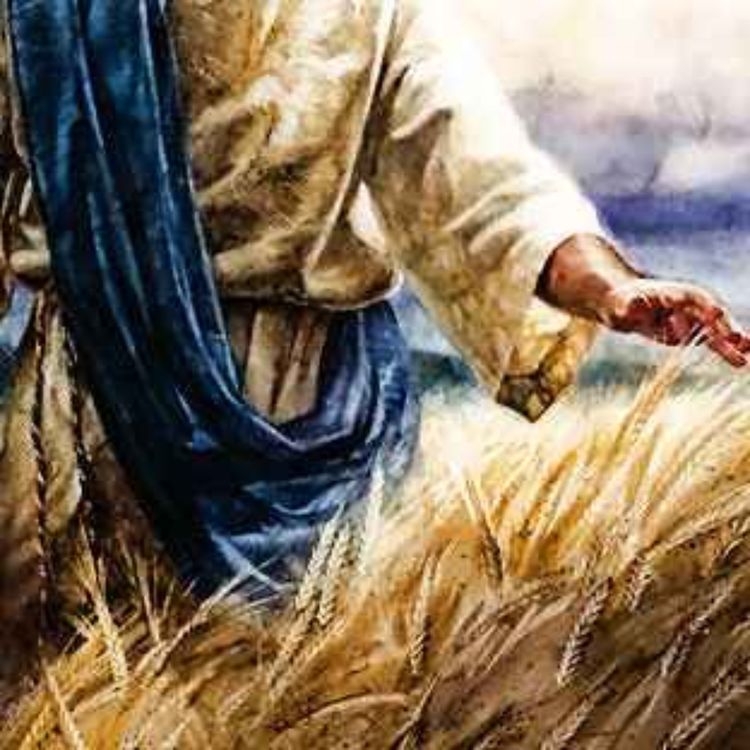 cover art for Jesus: The Fulfillment Of The Feast Of Firstfruits