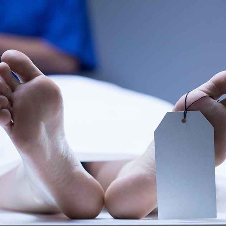 cover art for Coroners: Agents Of The State & Media Pimps