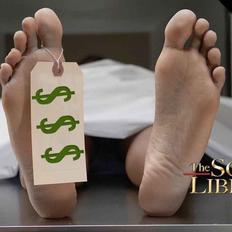 cover art for Kate Shemirani: YOU Are The Cash Cow!