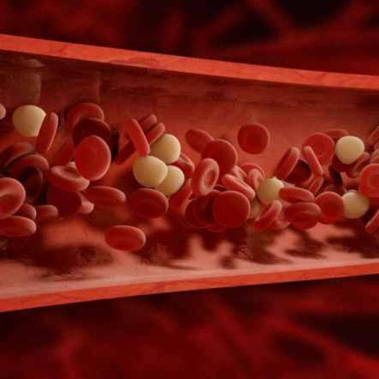 cover art for Kate Shemirani: "Sticky Blood" - What's Causing It & What You Can Do About It