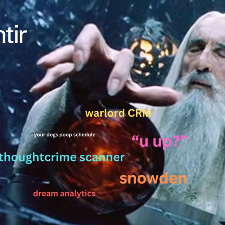 cover art for Palantir & The Dangers It Presents Not Just To Americans But The World