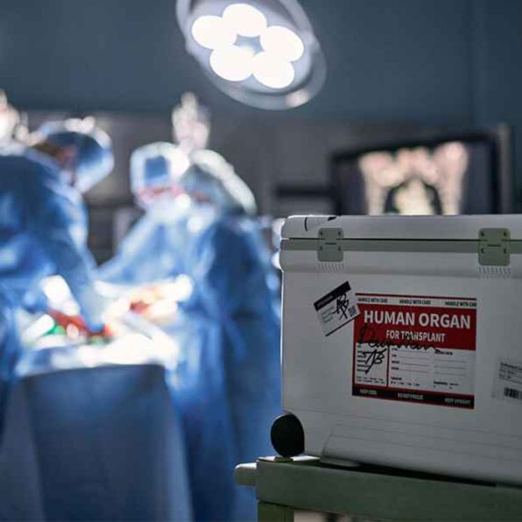 cover art for Stopping The Harvesting with Kate Shemirani & Dr. Heidi Klessig