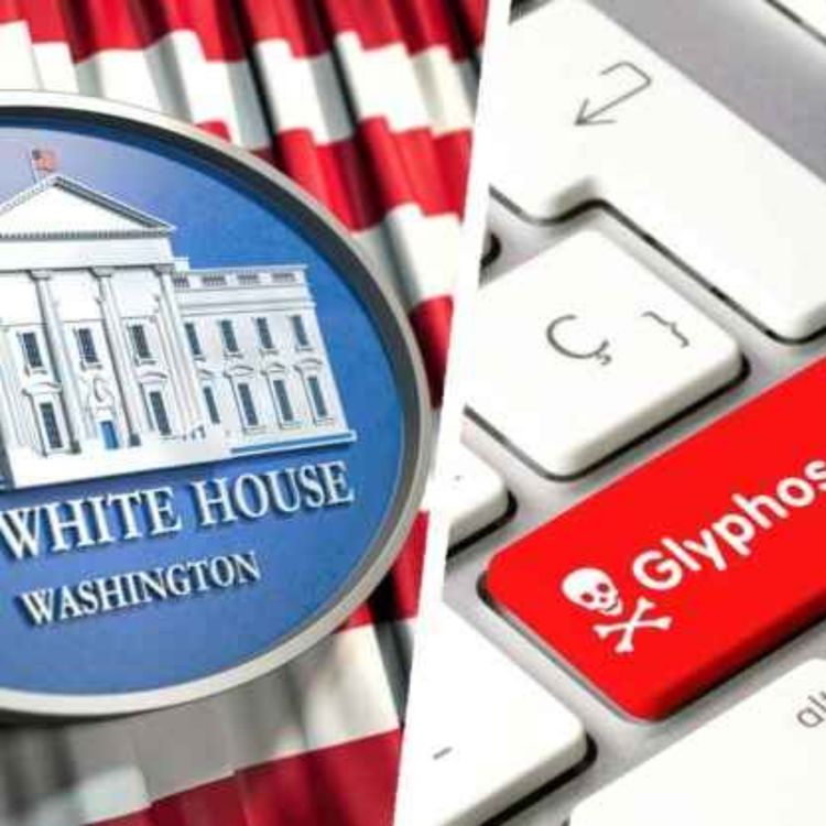 cover art for MAHA Was Betrayed By Trump!