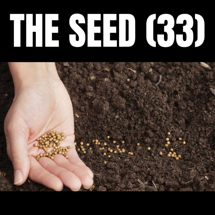 cover art for The Introduction, The Genesis (aka 33, The Seed)