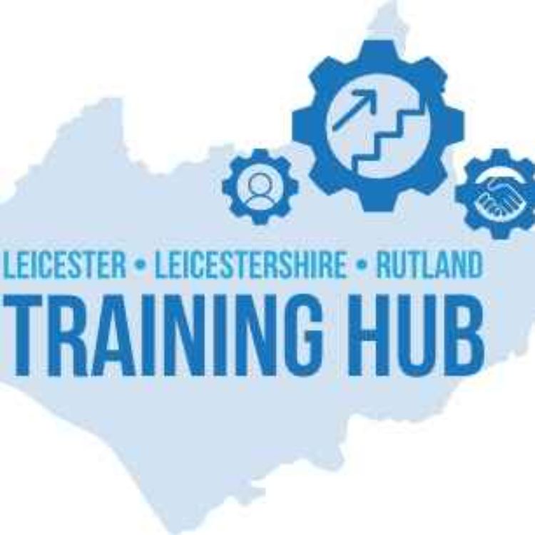 cover art for Wise Up - LLR Training and Development Team
