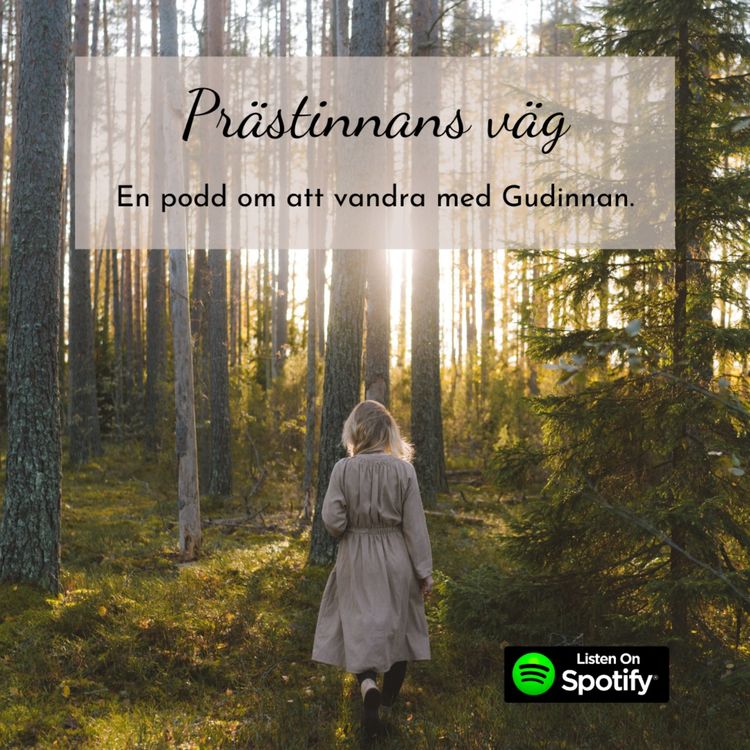 cover art for Vad gör Prästinnor?