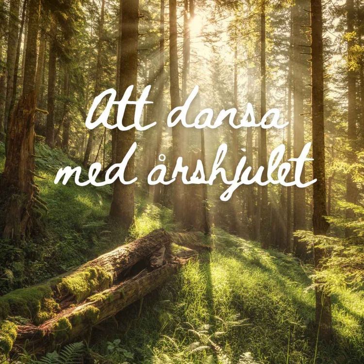 cover art for Dansa med årshjulet