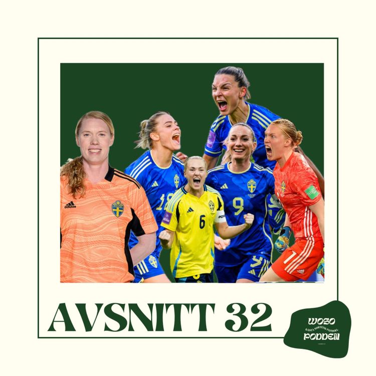cover art for 6 viktiga pinnar har hämtats hem av Swewnt