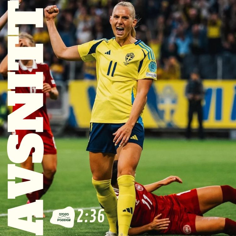 cover art for The Swedish Viking is Back 