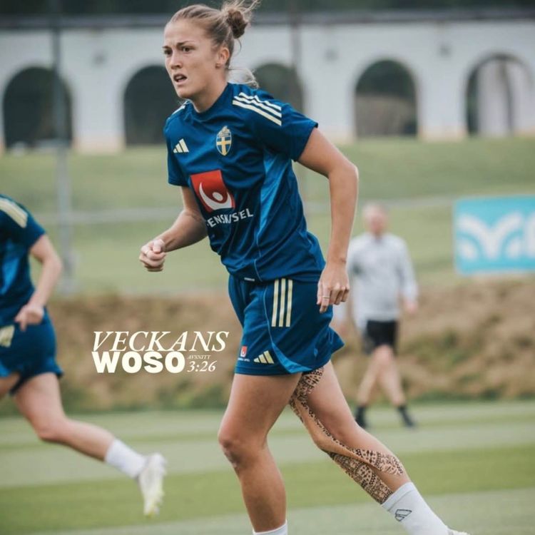 cover art for Vi tar oss igenom de stundande landskamperna - KÖR VI SVERIGE