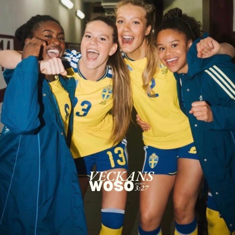 cover art for 4 pinnar i bagaget! 