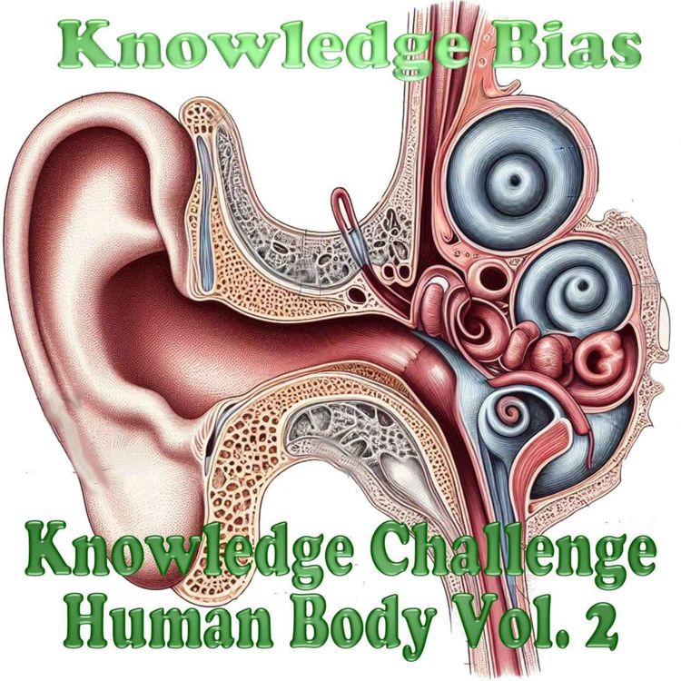 cover art for Human Body Trivia  Vol 2 Quiz Challenge