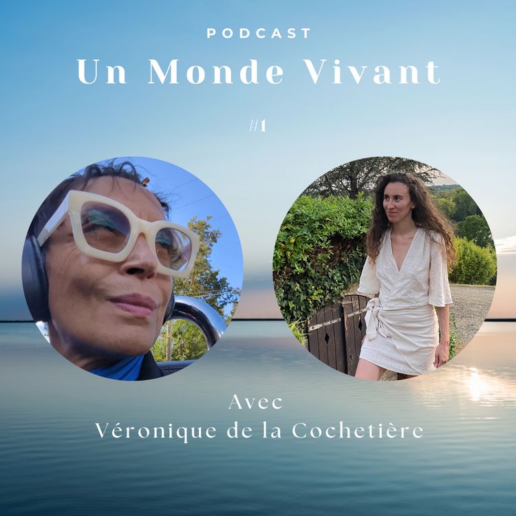 cover art for avec Véronique de la Cochetière - "À partir du moment où l'on est dans un acte d’amour pour soi-même, on a envie de créer"