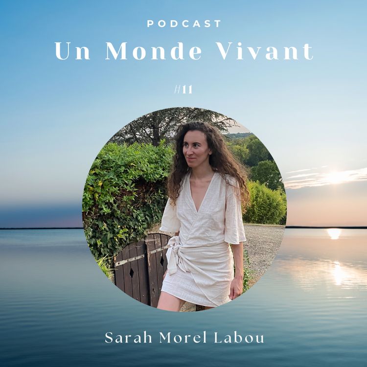 cover art for  Percée Mystique Dans La Nuit de Feu d’Éric-Emmanuel Schmitt - Introduction et Lecture de passages