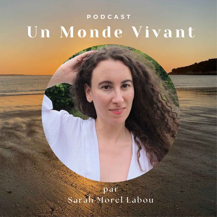 cover art for J'ai soigné "mon" endométriose, SOPK, papillomavirus