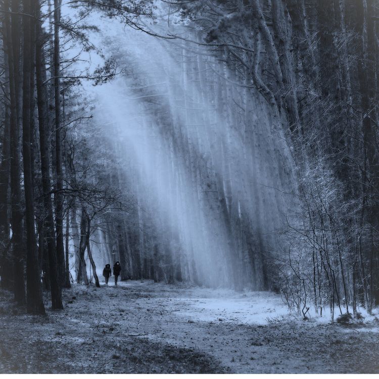 cover art for Both of Us - Poppet - Pandemonium 4