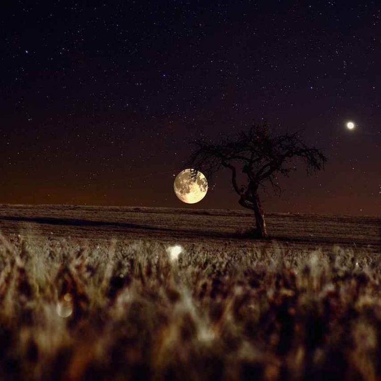 cover art for Season 3 Promo 2