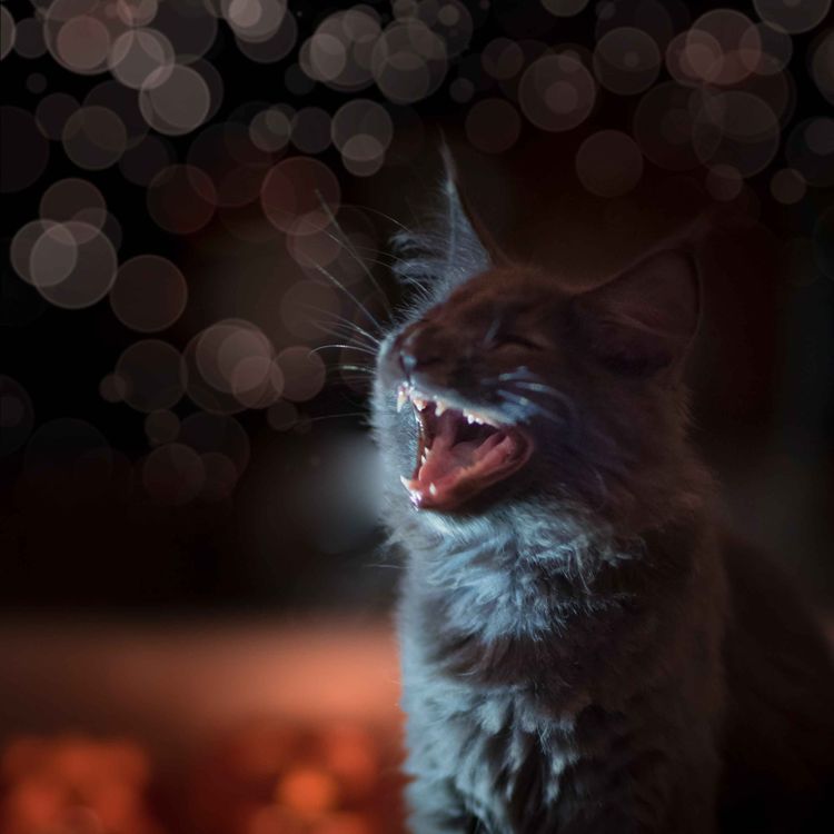 cover art for S3 E3 Promo