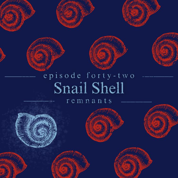 cover art for 42: Snail Shell