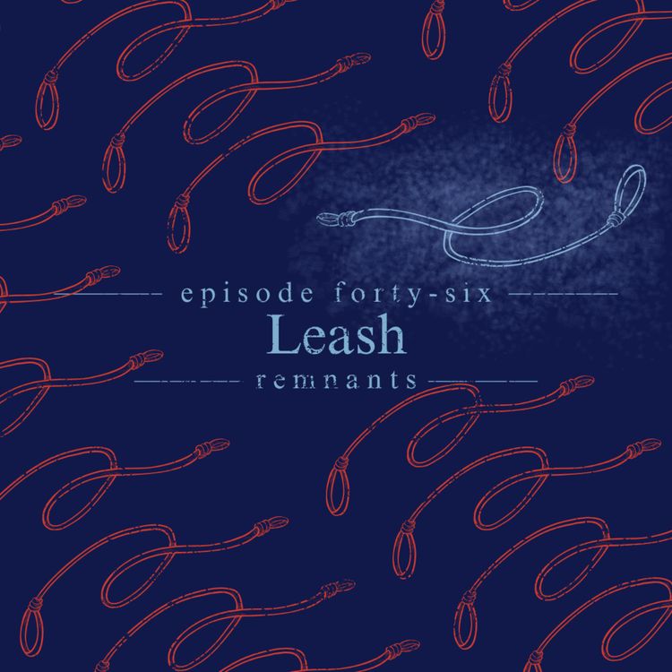 cover art for 46. Leash