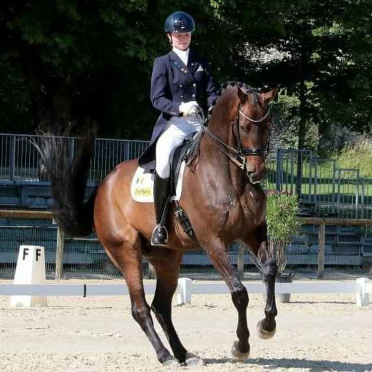 cover art for Ep. 14 Rachel Dowley