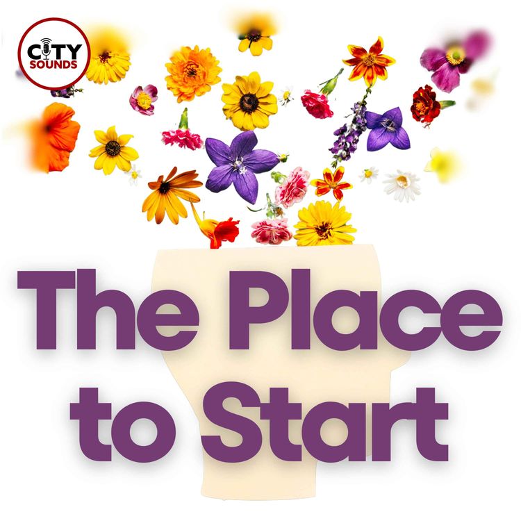 cover art for The Place to Start: Annavi