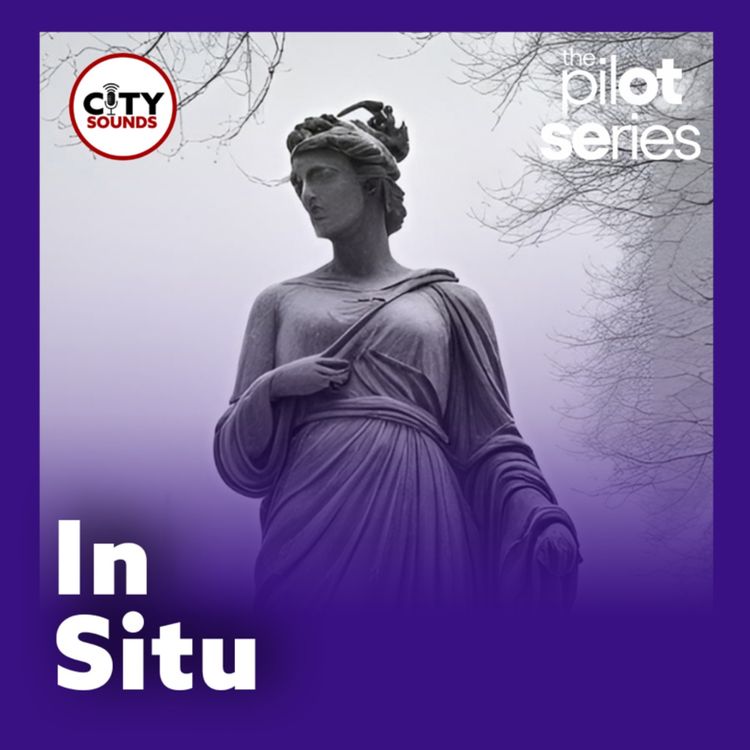 cover art for The Pilot Series: In Situ