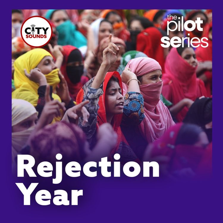 cover art for The Pilot Series: Rejection Year
