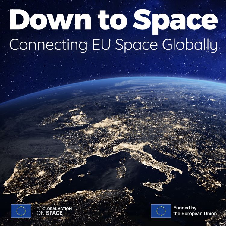 cover art for Crossing borders in space: the success of international business partnerships