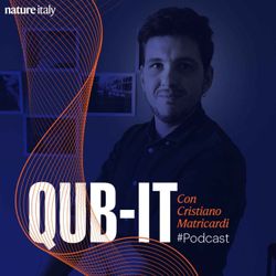 cover art for QUB-IT