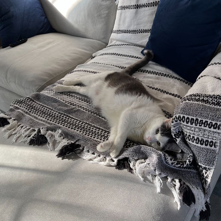 cover art for "Carlos Alcaraz: My Way": The Tennis Doc We Need