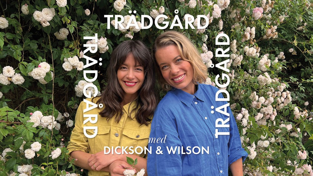 cover art for Trädgårdsgossip