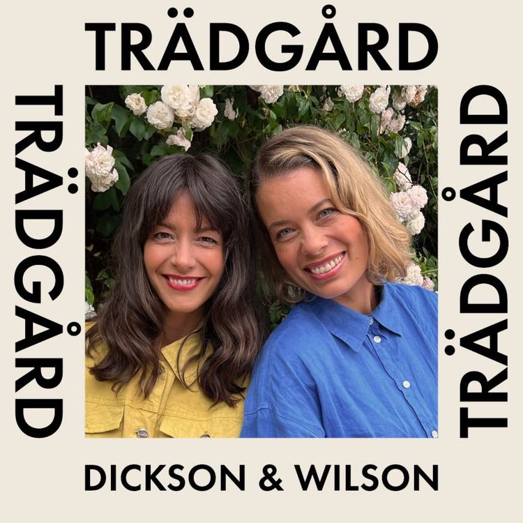 cover art for Vatten i trädgården med DammOlle!