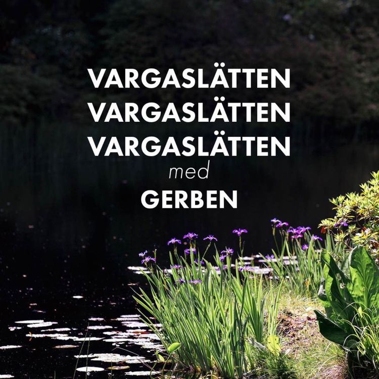 cover art for En rundvandring på Vargaslätten med Gerben Tjeerdsma