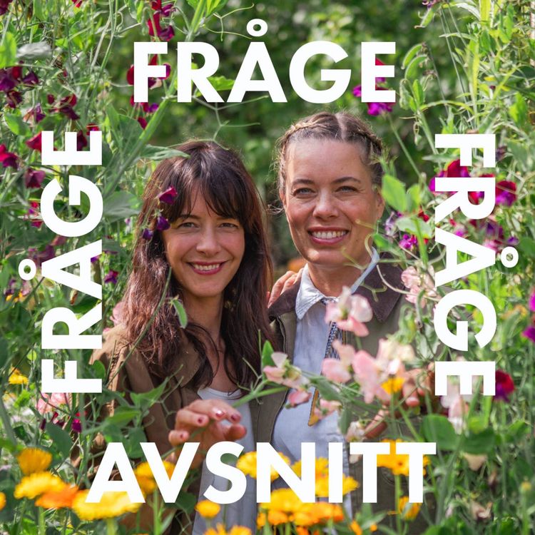 cover art for Frågeavsnitt: Torra rabatter och ärvda rabatter - hur gör man?