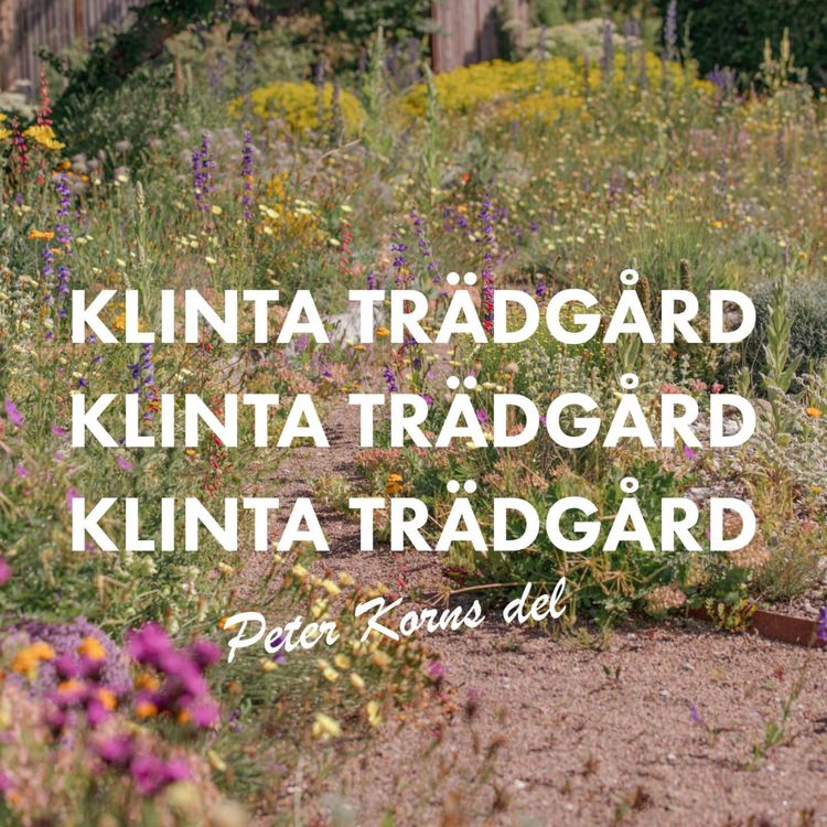cover art for Klinta trädgård - en trädgård - två formgivare. 