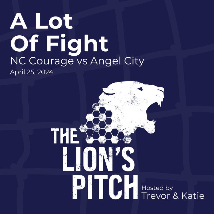 cover art for A Lot Of Fight