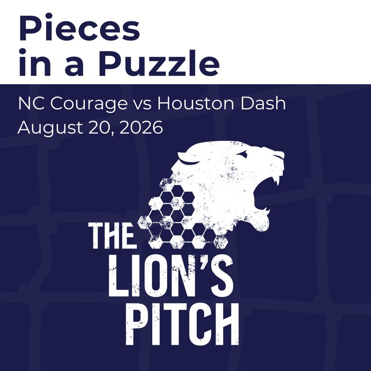cover art for Pieces in a Puzzle