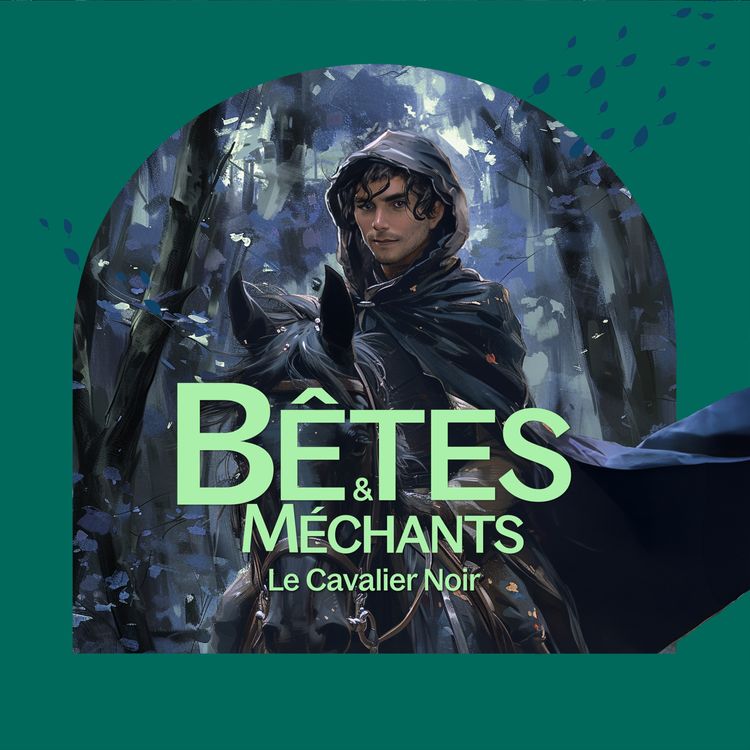 cover art for Le Cavalier Noir