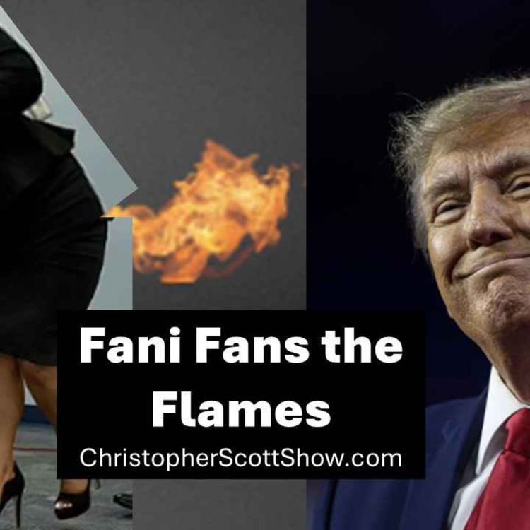 cover art for Fani Fans the Flames