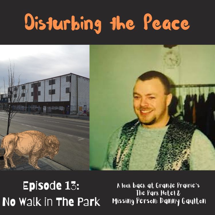 cover art for Episode 13: No Walk In the Park - Danny Gaulton