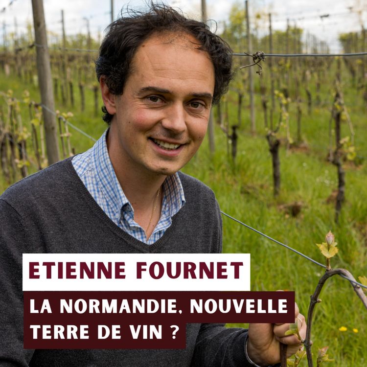 cover art for La normandie, nouvelle terre de vin ? - Etienne Fournet