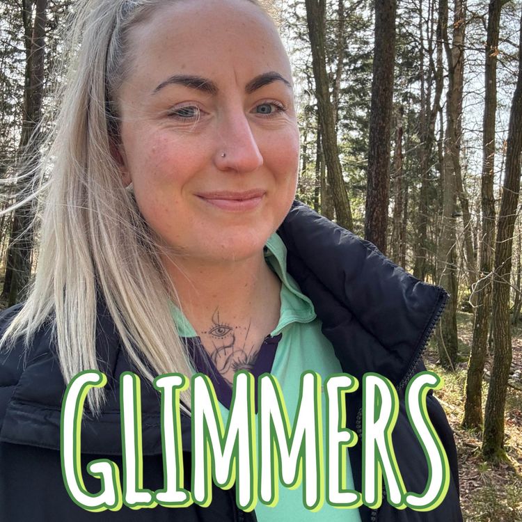 cover art for 4. GLIMMERS!