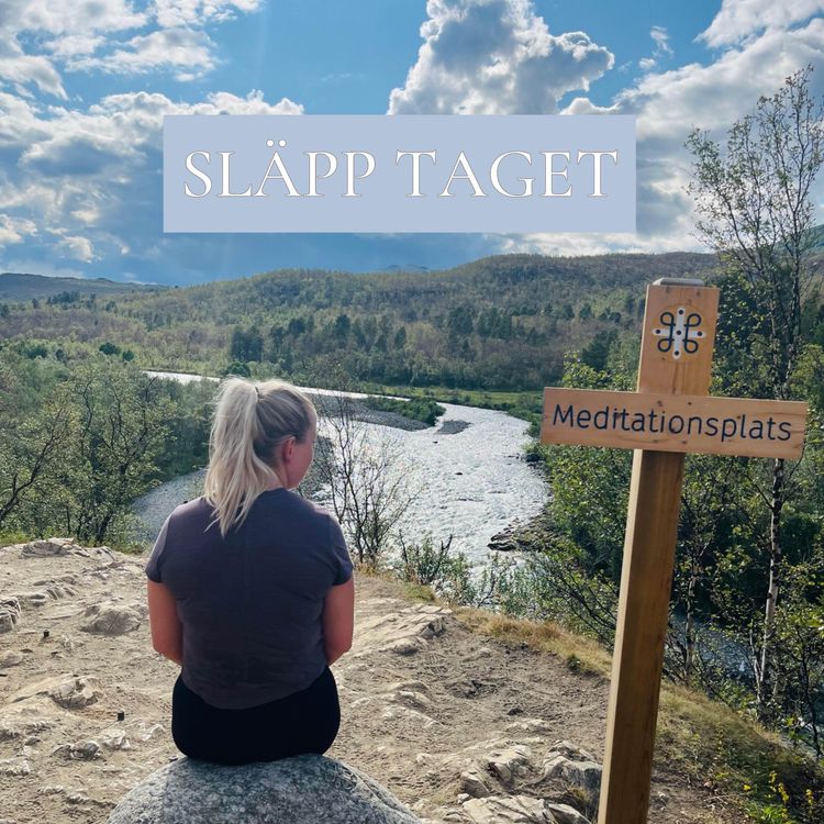 cover art for 5. SLÄPP TAGET - guidad meditation