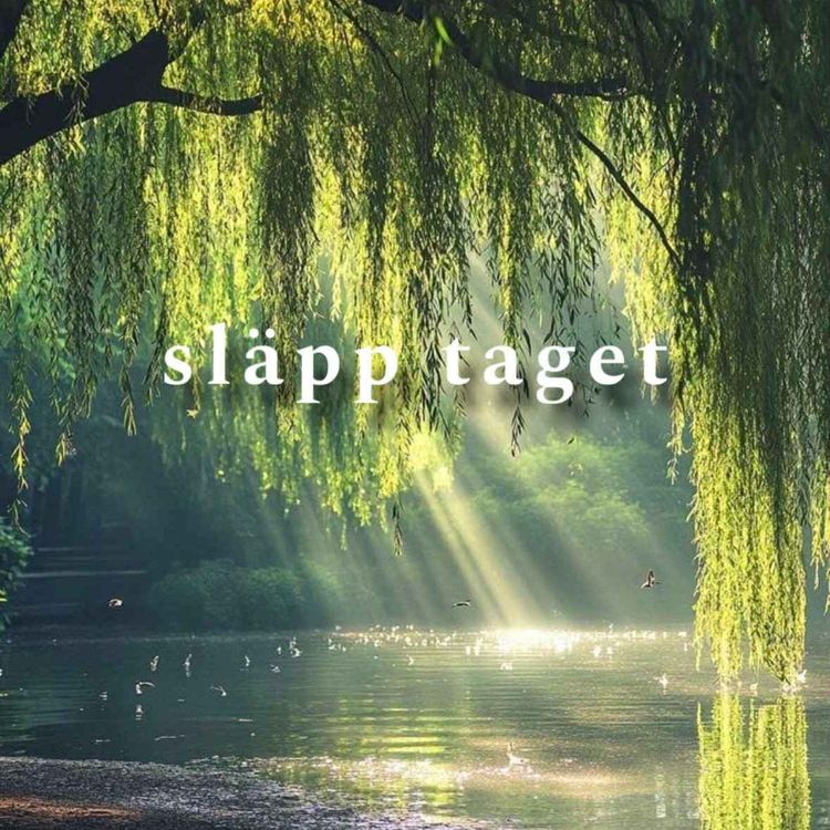 cover art for #002 - GUIDAD MEDITATION - SLÄPP TAGET