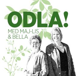 cover art for ODLA!