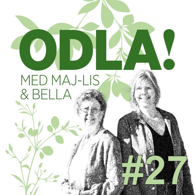 cover art for Biodynamisk odling, Lotta Lundgren & ett och annat bubbligt blad
