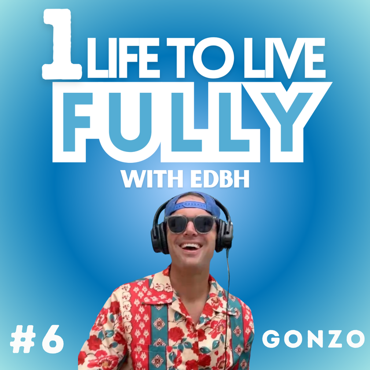 cover art for E6 Gonzo 