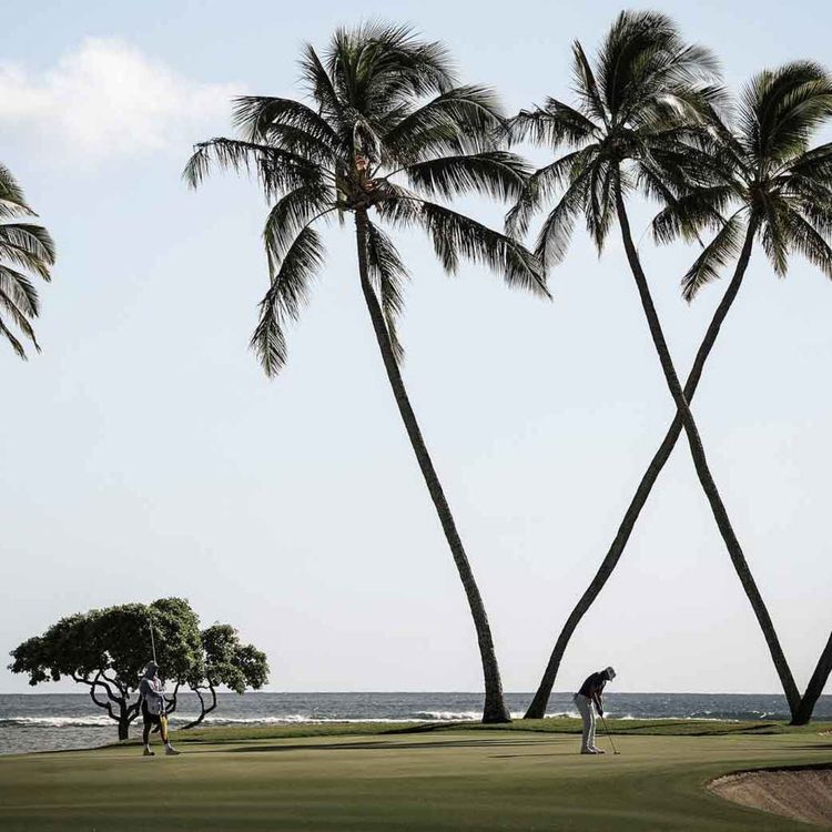 cover art for Episode 62: Sony Open in Hawaii 2026 Best Bets